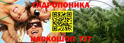дживик Ярославль
