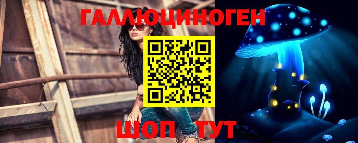 купить наркоту  Галлюциногенные грибы MAGIC MUSHROOMS  Вход с VPN  Алексеевка 